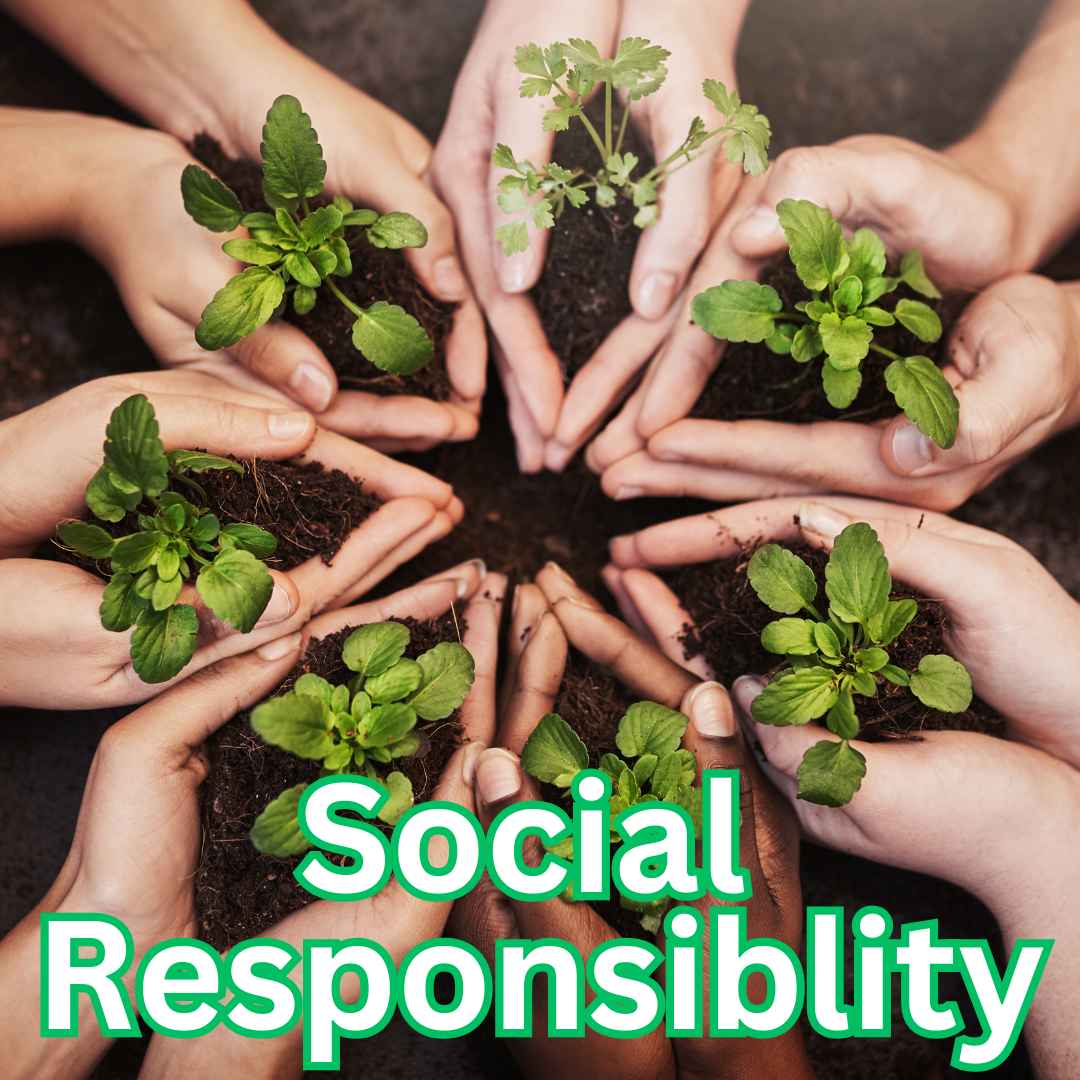 Corporate Social Responsiblity
